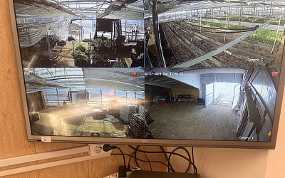 IP-видеонаблюдение на базе оборудования HiWatch в садовом центре «Хомяк».